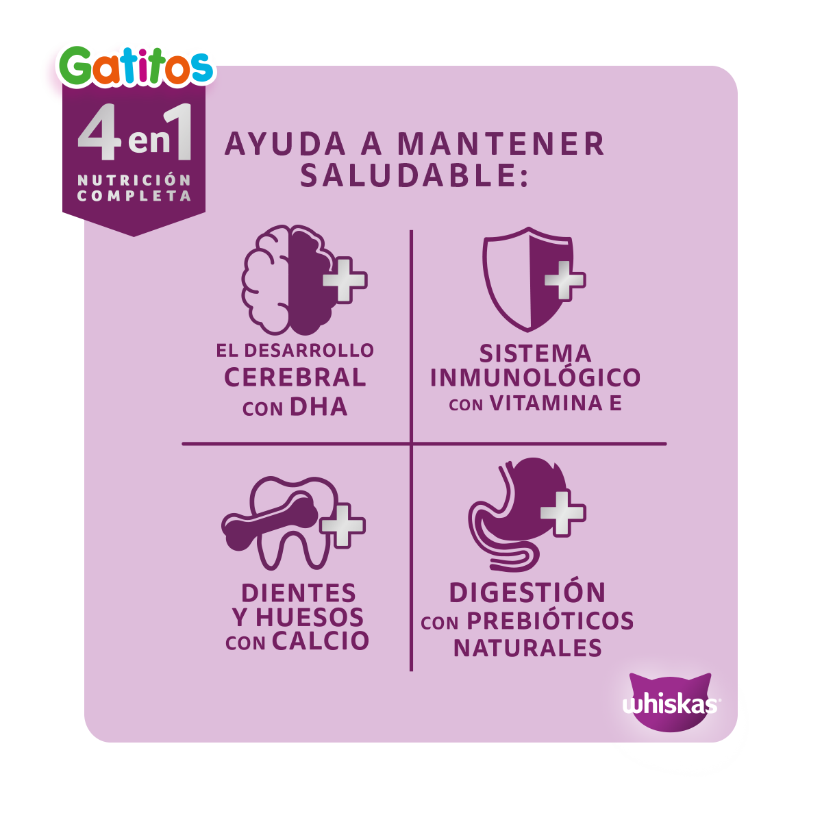 Beneficios Whiskas 4 en 1 para gatitos